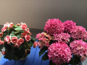 0FE63059-CD22-479E-B515-0DDFCA6E8A77